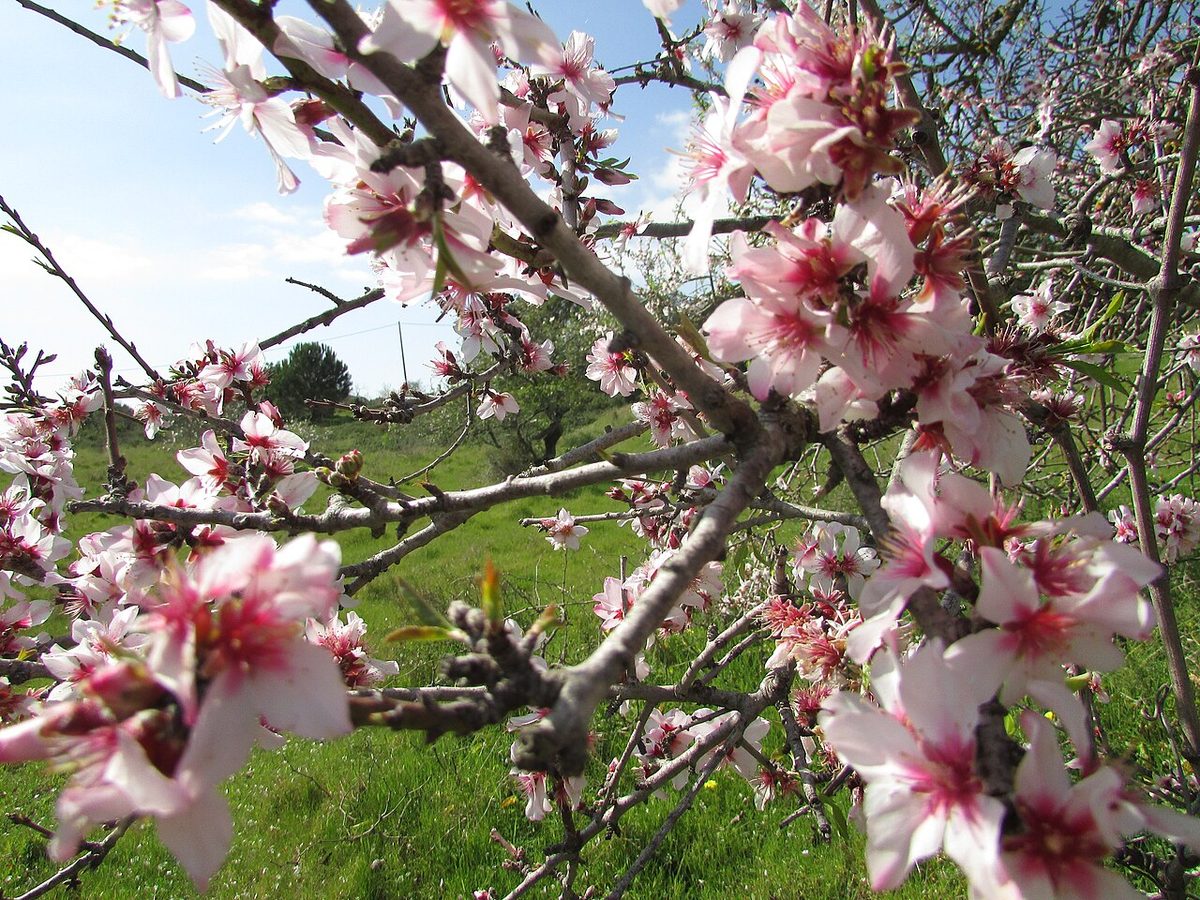 Best Time to Visit Portugal: Month-by-Month Weather, Crowds & Prices